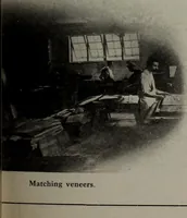 Picture 148 of 471 from Canadian wood products industries (1913), leaf 202