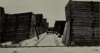 An illustration from Canadian wood products industries (1913)