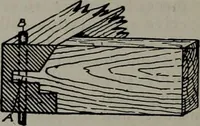 An illustration from Canadian wood products industries (1913)