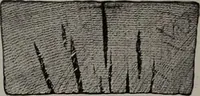 An illustration from Canadian wood products industries (1913)