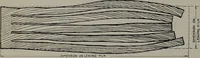 Picture 459 of 471 from Canadian wood products industries (1913), leaf 597