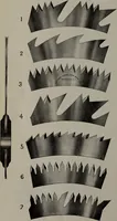 An illustration from Canadian wood products industries (1913)