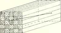 An illustration from Canadian wood products industries (1914)