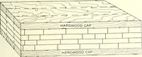 Picture 266 of 521 from Canadian wood products industries (1914), leaf 332
