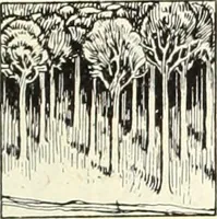 An illustration from Canadian wood products industries (1914)
