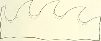 An illustration from Canadian wood products industries (1914)