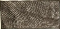 An illustration from Canadian wood products industries (1914)