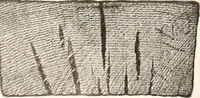 An illustration from Canadian wood products industries (1914)