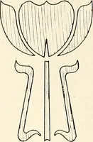 An illustration from Canadian wood products industries (1914)