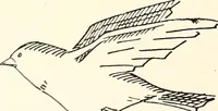 An illustration from Canadian wood products industries (1914)