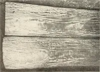 An illustration from Canadian wood products industries (1915)