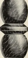 An illustration from Canadian wood products industries (1915)