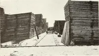 An illustration from Canadian wood products industries (1915)