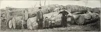 Picture 284 of 460 from Canadian wood products industries (1915), leaf 399