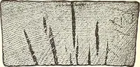 Picture 39 of 460 from Canadian wood products industries (1915), leaf 46