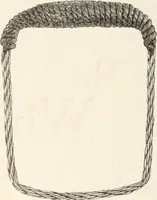 An illustration from Canadian wood products industries (1915)