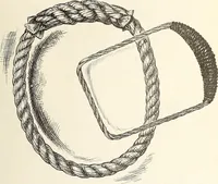 An illustration from Canadian wood products industries (1915)