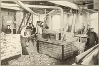 An illustration from Canadian wood products industries (1915)
