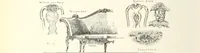 An illustration from Canadian wood products industries (1915)