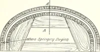 An illustration from Canadian wood products industries (1916)