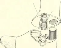 An illustration from Canadian wood products industries (1916)