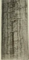 An illustration from Canadian wood products industries (1916)