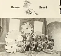 Picture 292 of 571 from Canadian wood products industries (1916), leaf 387