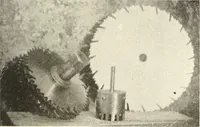 An illustration from Canadian wood products industries (1916)