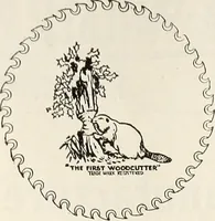 Picture 373 of 571 from Canadian wood products industries (1916), leaf 497