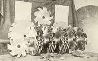 Picture 374 of 571 from Canadian wood products industries (1916), leaf 497
