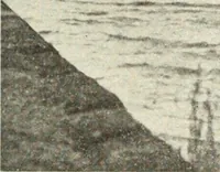 An illustration from Canadian wood products industries (1916)