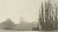 An illustration from Canadian wood products industries (1916)