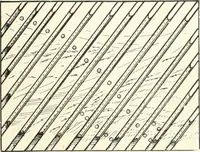 An illustration from Canadian wood products industries (1916)