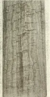 An illustration from Canadian wood products industries (1916)