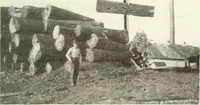 Picture 79 of 571 from Canadian wood products industries (1916), leaf 90