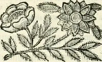 An illustration from Il cannocchiale aristotelico, o sia, Idea dell'arguta et ingeniosa elocutione : che serue à tutta l'arte oratoria, lapidaria, et simbolica (1663)