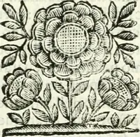 An illustration from Il cannocchiale aristotelico, o sia, Idea dell'arguta et ingeniosa elocutione : che serue à tutta l'arte oratoria, lapidaria, et simbolica (1663)