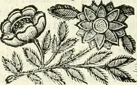 An illustration from Il cannocchiale aristotelico, o sia, Idea dell'arguta et ingeniosa elocutione : che serue à tutta l'arte oratoria, lapidaria, et simbolica (1663)