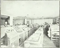 Picture 60 of 480 from Canadian printer & publisher (1912), leaf 91