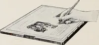 Picture 167 of 483 from Canadian printer & publisher (1913), leaf 273