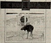 Picture 422 of 483 from Canadian printer & publisher (1913), leaf 872