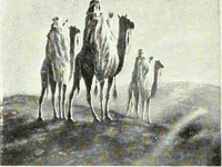 Picture 26 of 328 from Canadian printer & publisher (1918), leaf 37