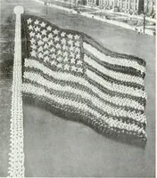 Picture 215 of 328 from Canadian printer & publisher (1918), leaf 377