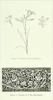 Picture 141 of 499 from Canadian printer & publisher (1920), leaf 284