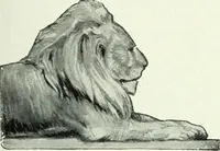 An illustration from Canadian printer & publisher (1920)