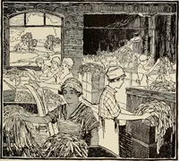 Picture 215 of 436 from Canadian printer & publisher (1921), leaf 398