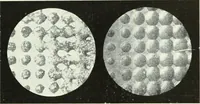 An illustration from Canadian printer & publisher (1922)