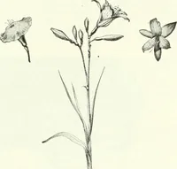 An illustration from Canadian printer & publisher (1922)