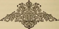 Picture 26 of 44 from Can telepathy explain? : results of psychical research (1902), leaf 135