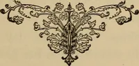 Picture 27 of 44 from Can telepathy explain? : results of psychical research (1902), leaf 138